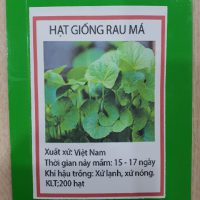 Hạt giống rau má