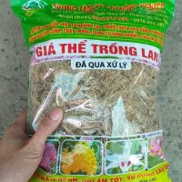 dớn trắng trồng lan