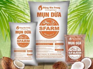 Mụn Dừa Sfarm Đã Xử Lý Chất Chát & Mầm Bệnh