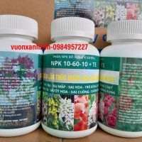 NPK 10-60-10 giàu lân thúc mầm hoa cực mạnh