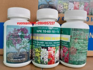 NPK 10-60-10 giàu lân thúc mầm hoa cực mạnh